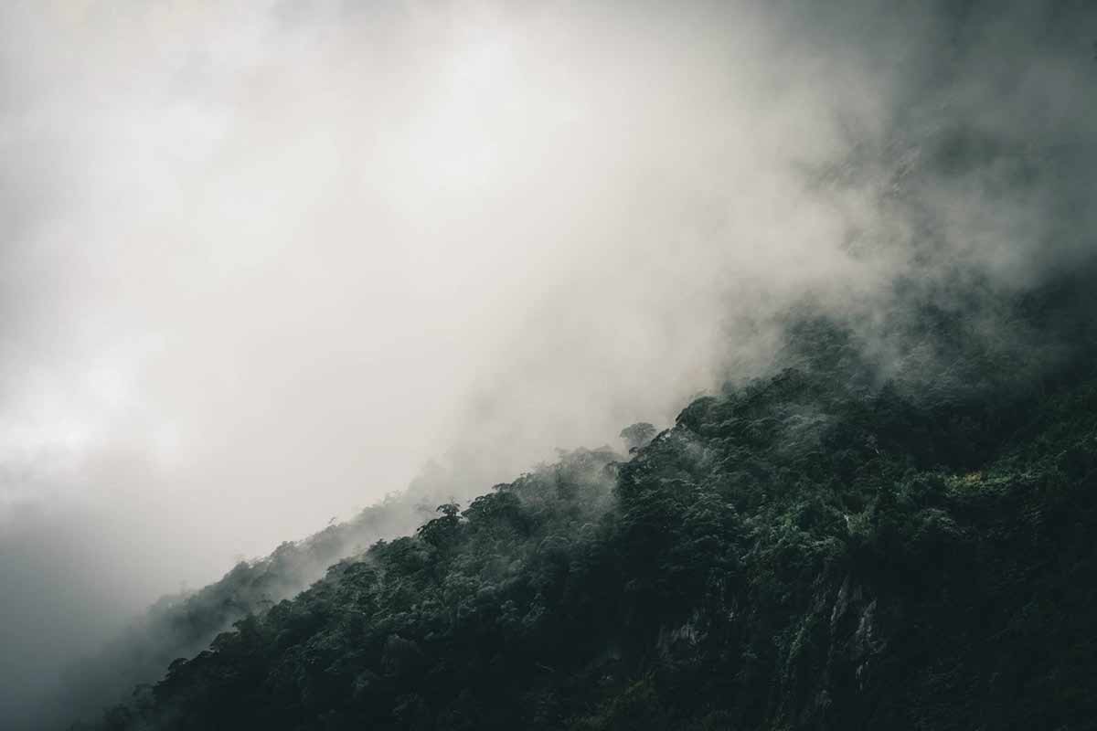 portfolio 5